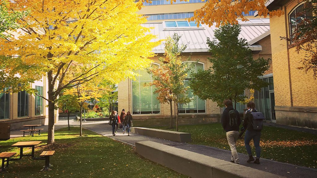 Cour intérieure d’un campus. Des étudiants marchent dans une allée, entourés d’arbres aux couleurs de l’automne.